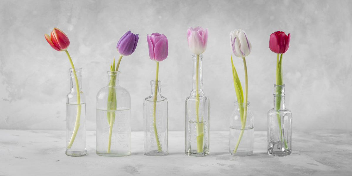 Bottled Blooms Wall Mural