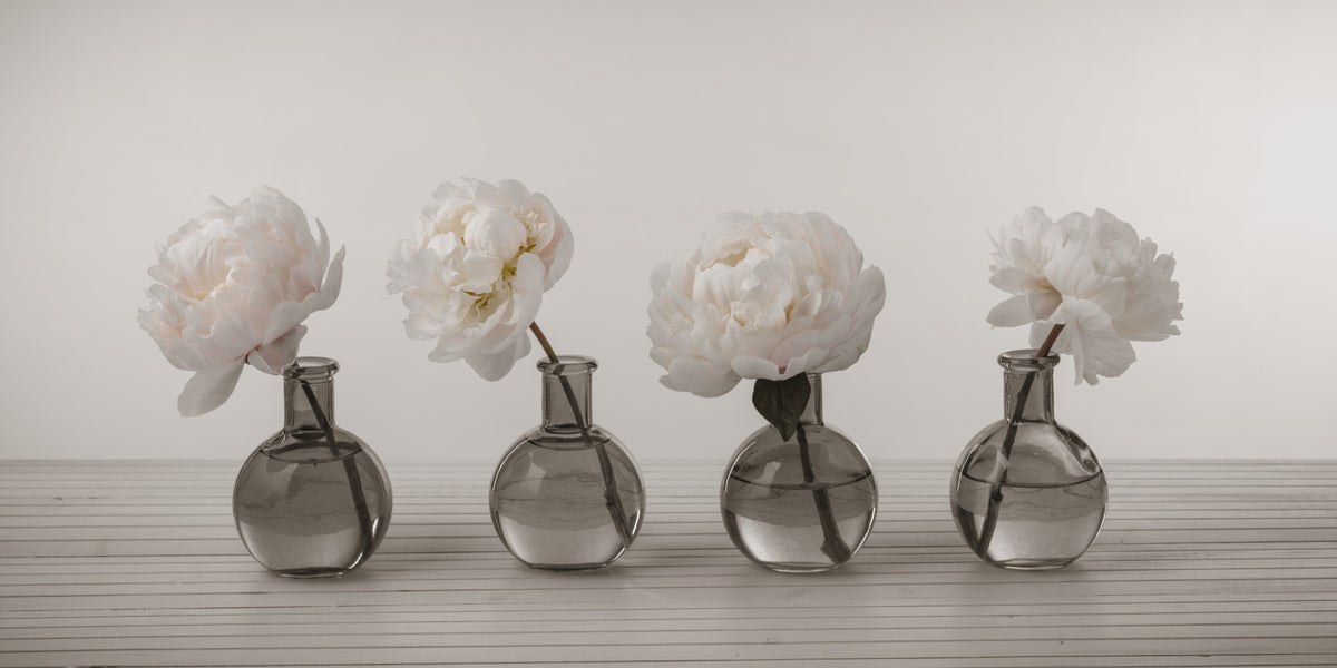 Blushing Peonies Wall Mural in your room — zoomed