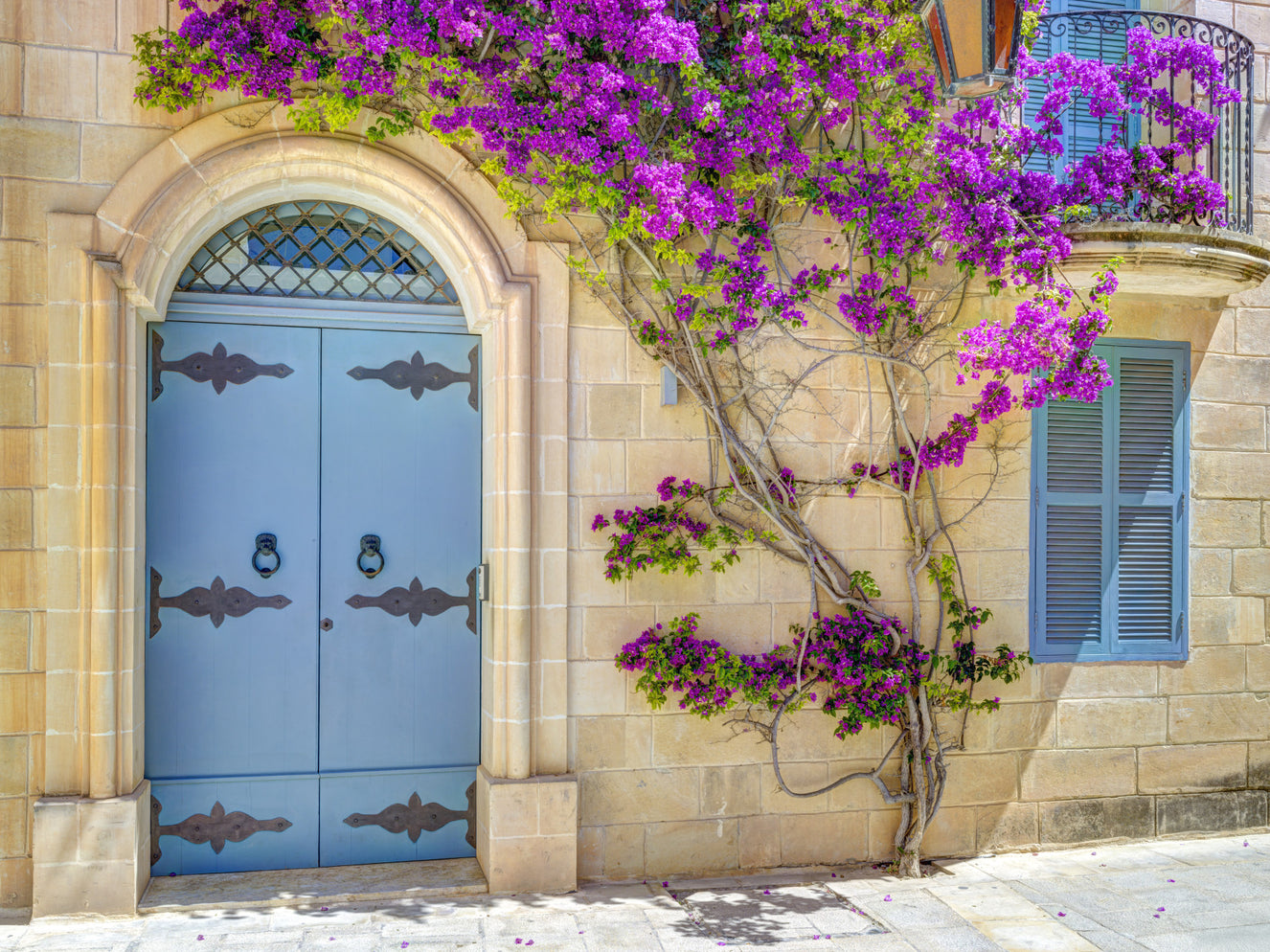 Bougainvillea Door Wall Mural