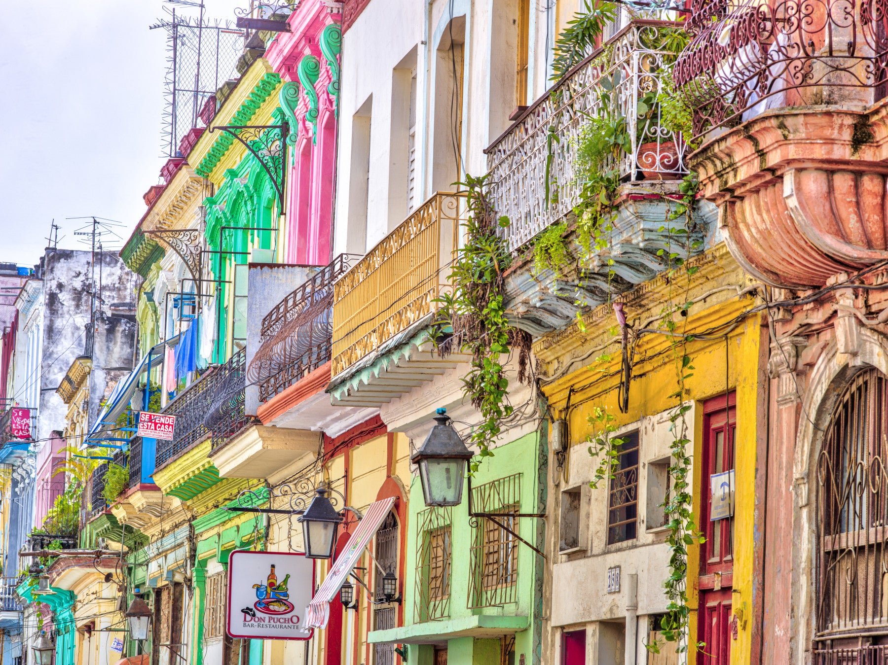 Cuban Color Burst Wall Mural