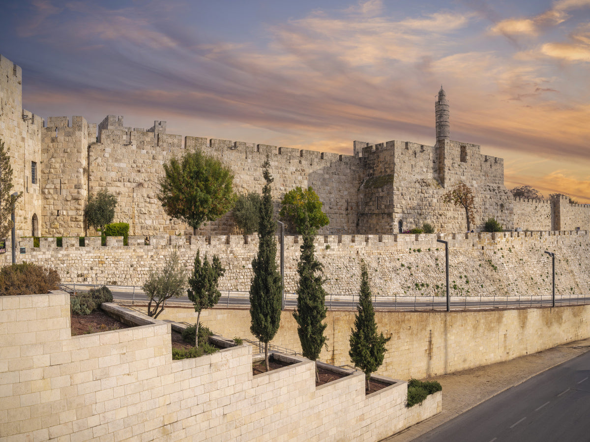 Tower of David Wall Mural