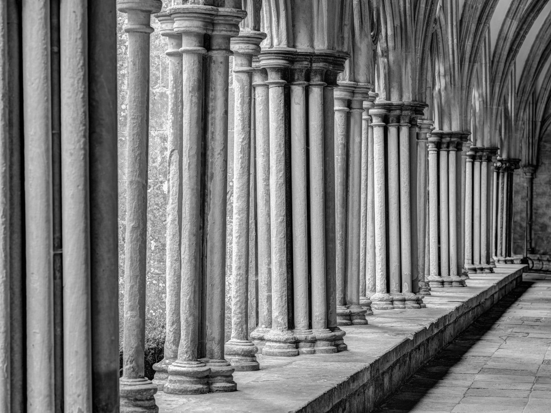 The Cloisters Wall Mural