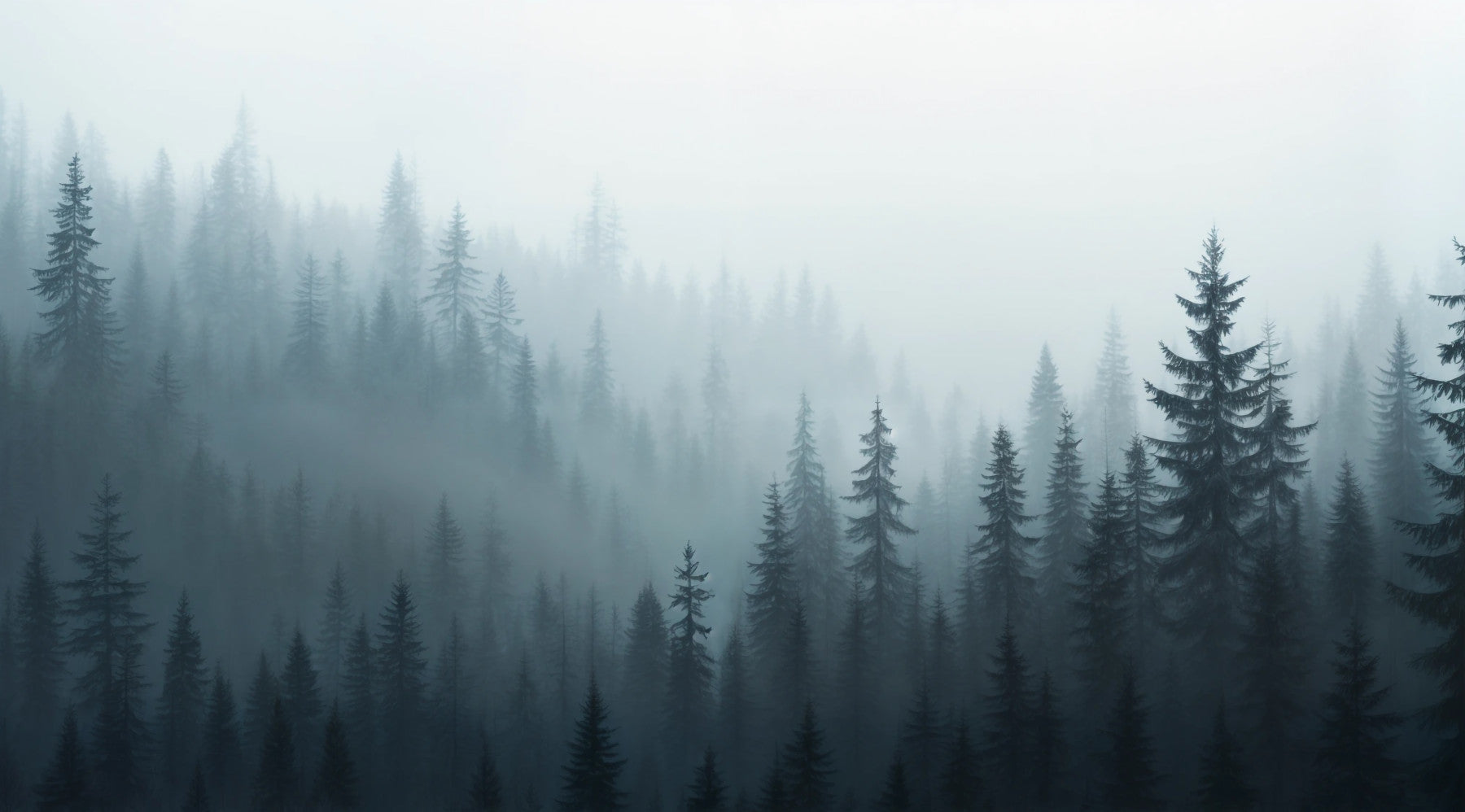 Misty Forest Dreams Wall Mural