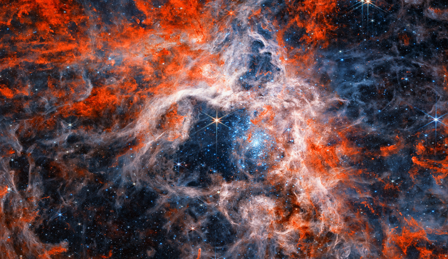 Tarantula Nebula Wall Mural