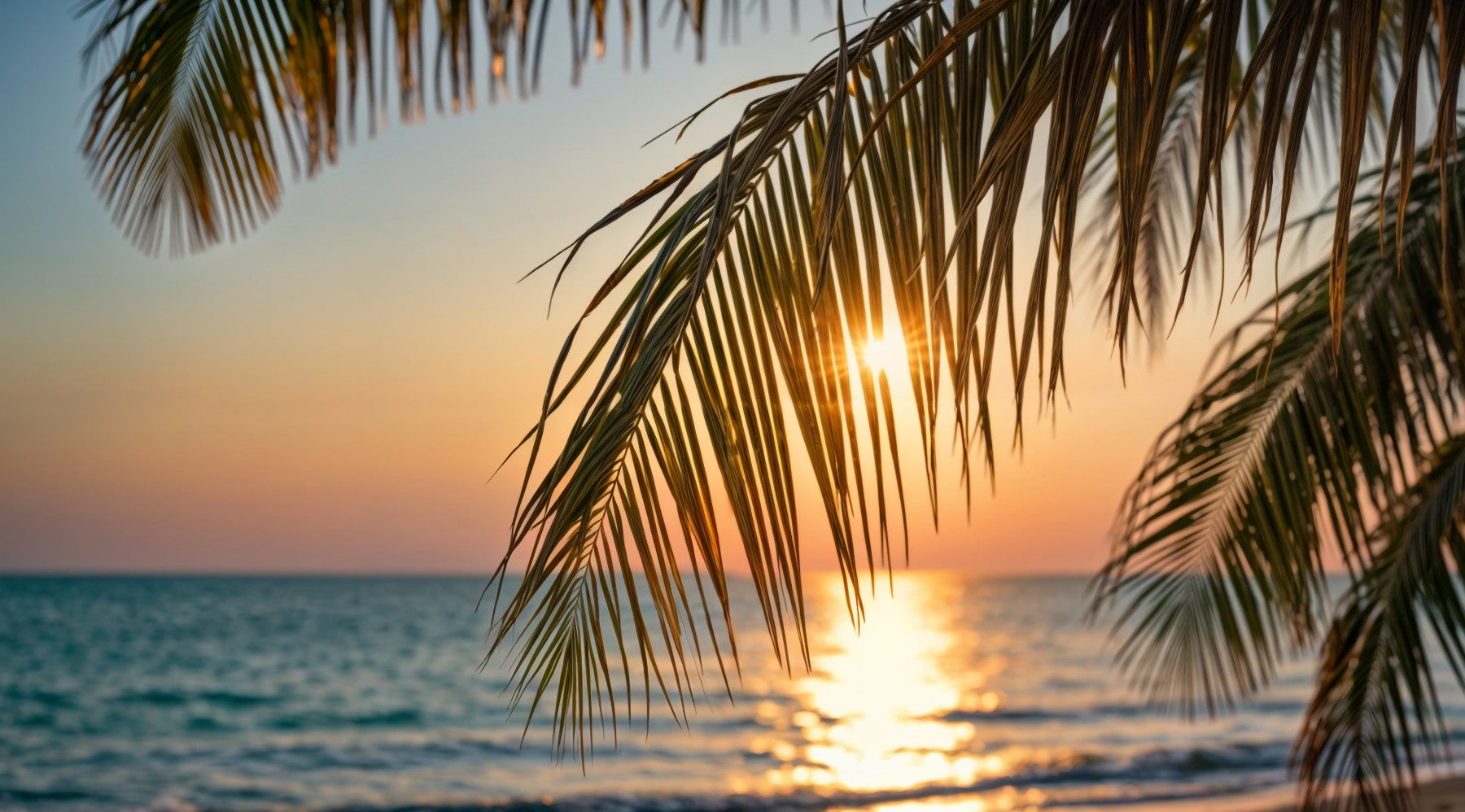 Tropical Glow Wall Mural
