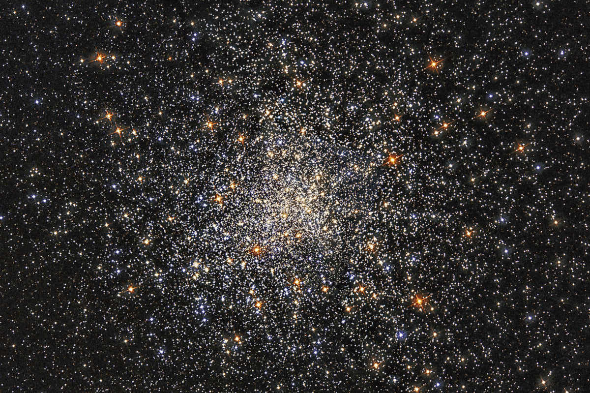 Starfield Wall Mural