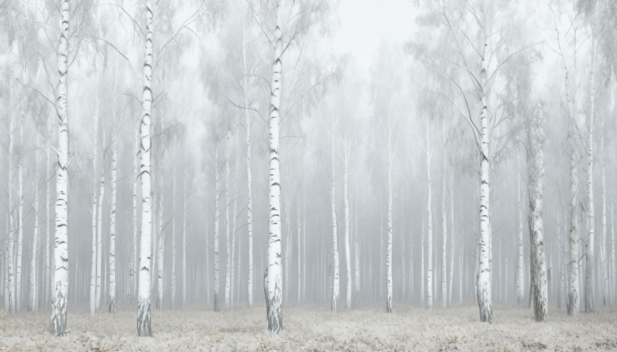 Winter White Woods Wall Mural