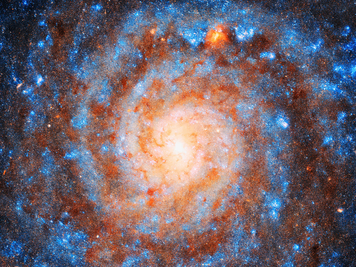 Galactic Swirl Wall Mural in your room — zoomed