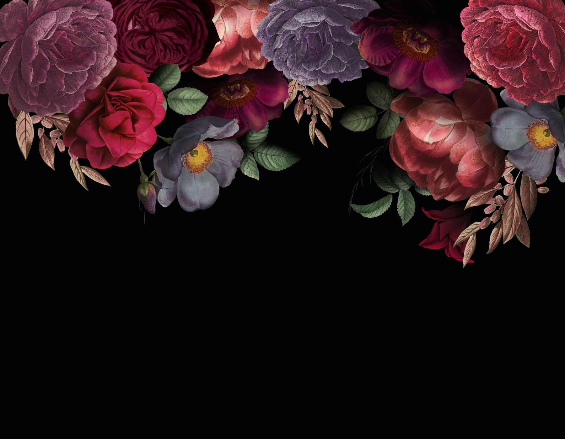 Antique Roses and Peonies with Dark Dramatic Botanical Garden Charm Wall Mural