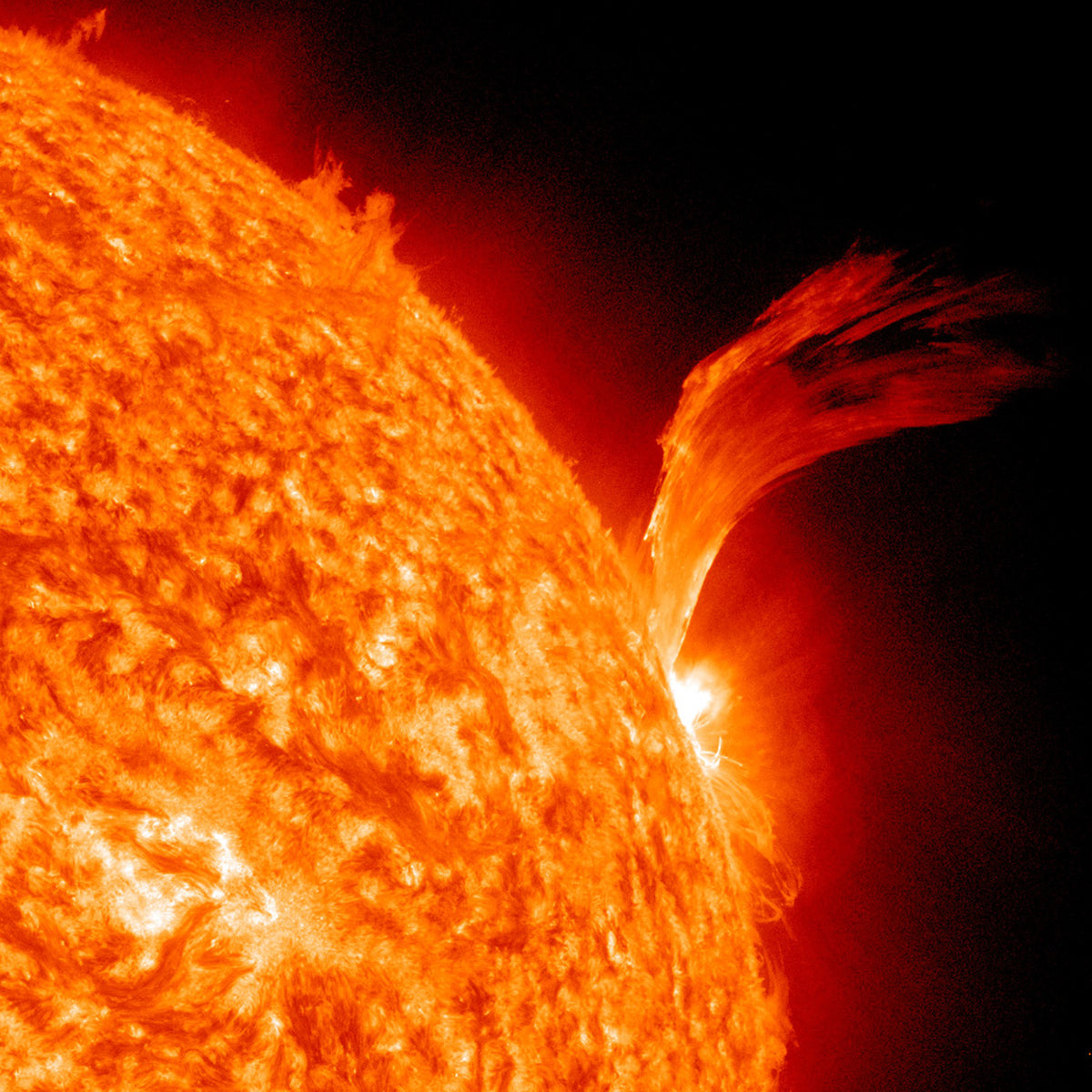 Sun's Fury Wall Mural
