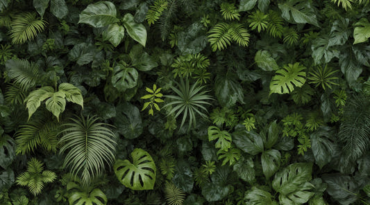 Lush Foliage Wall Wall Mural