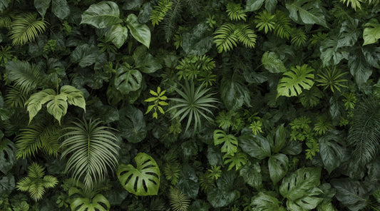 Lush Foliage Wall Wall Mural