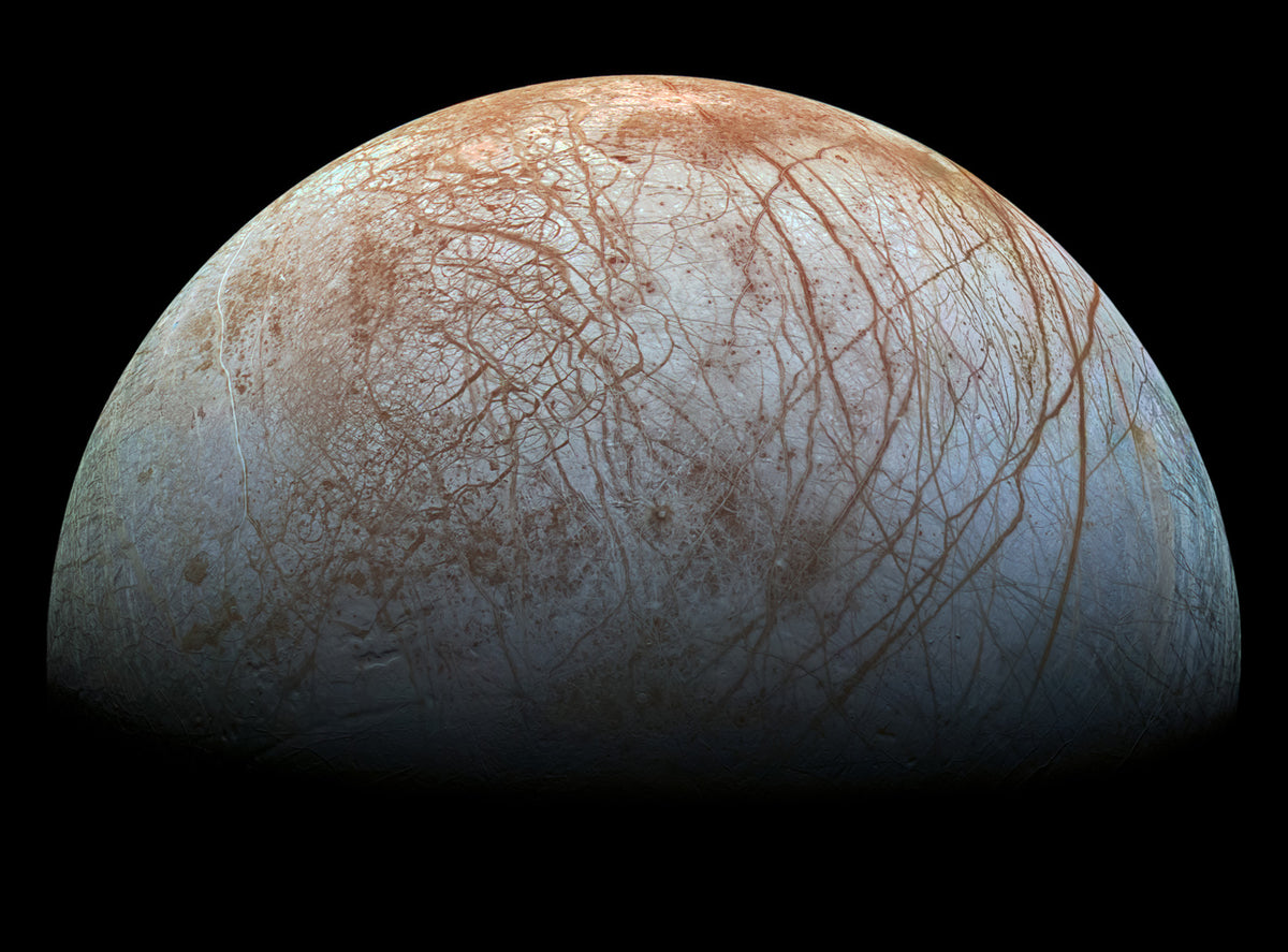 Europa The Veined Moon Wall Mural