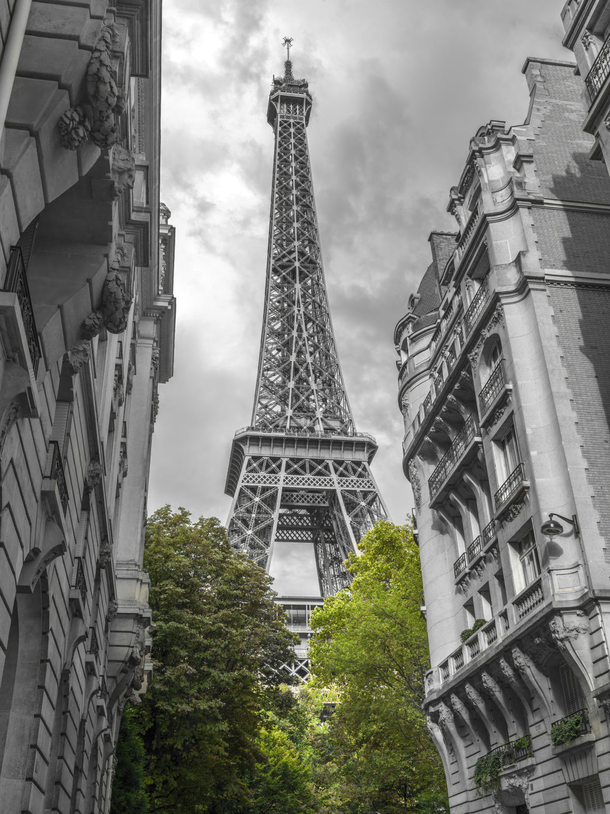 Paris my Love Wall Mural in your room — zoomed