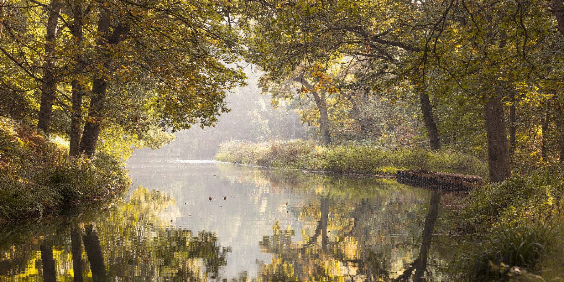 Autumnal Waters Wall Mural
