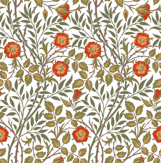 William Morris Sweet Briar White Orange Wallpaper⁠