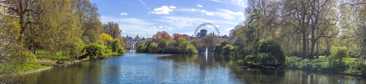 St James Park Wall Mural