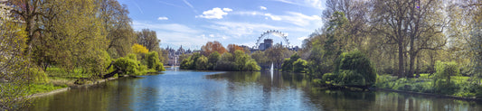 St James Park Wall Mural