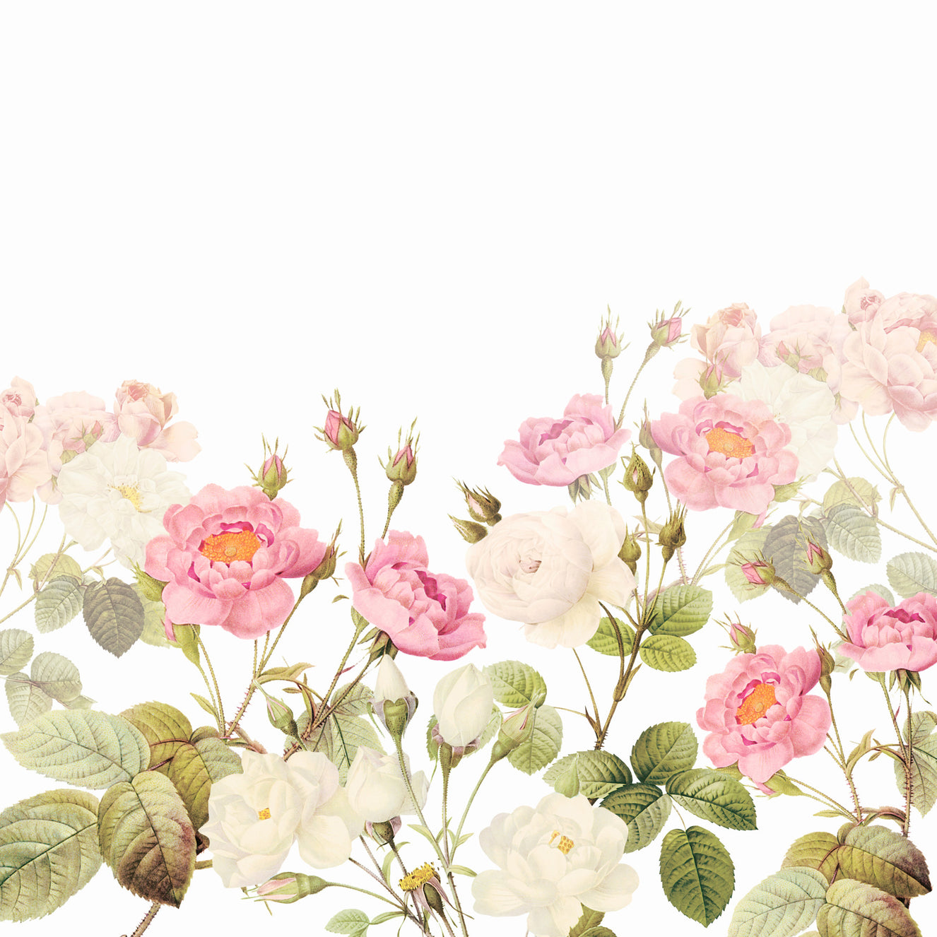 Vintage Blush Rose Garden Wall Mural