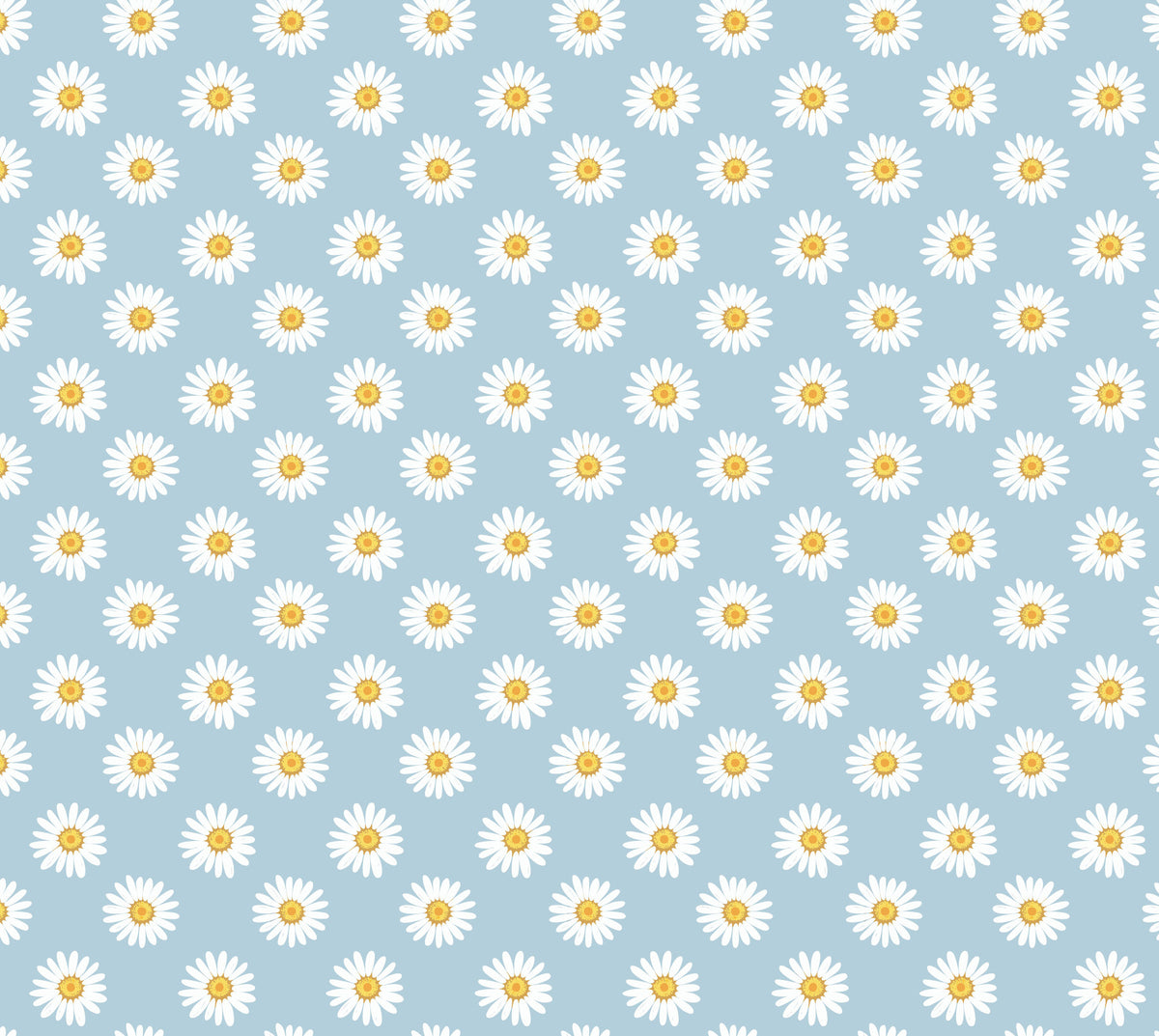 Daisies on Blue Wallpaper⁠