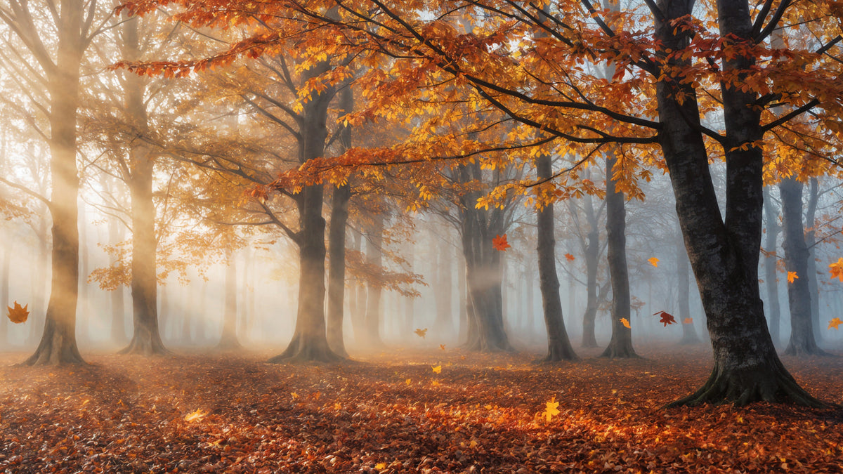 Autumnal Whispers Wall Mural