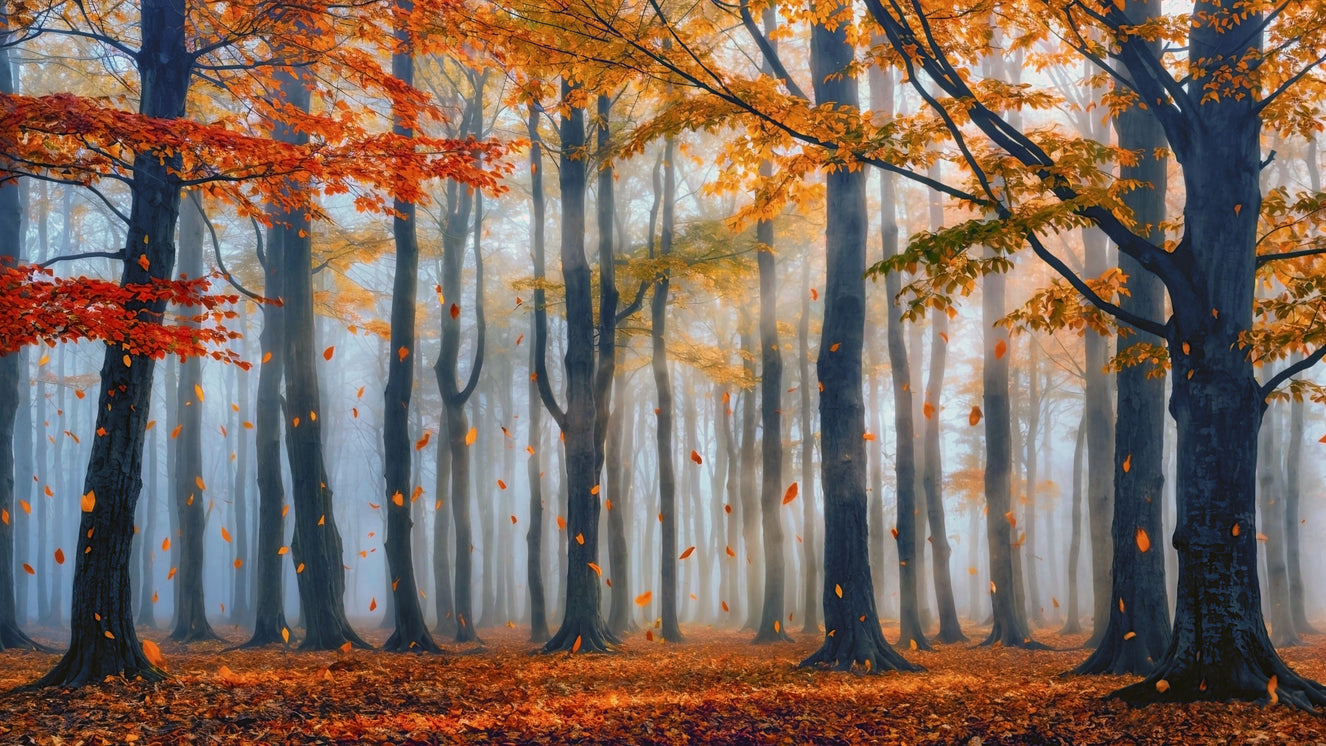Golden Forest Serenity Wall Mural