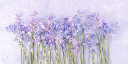Bluebell Dream Wall Mural