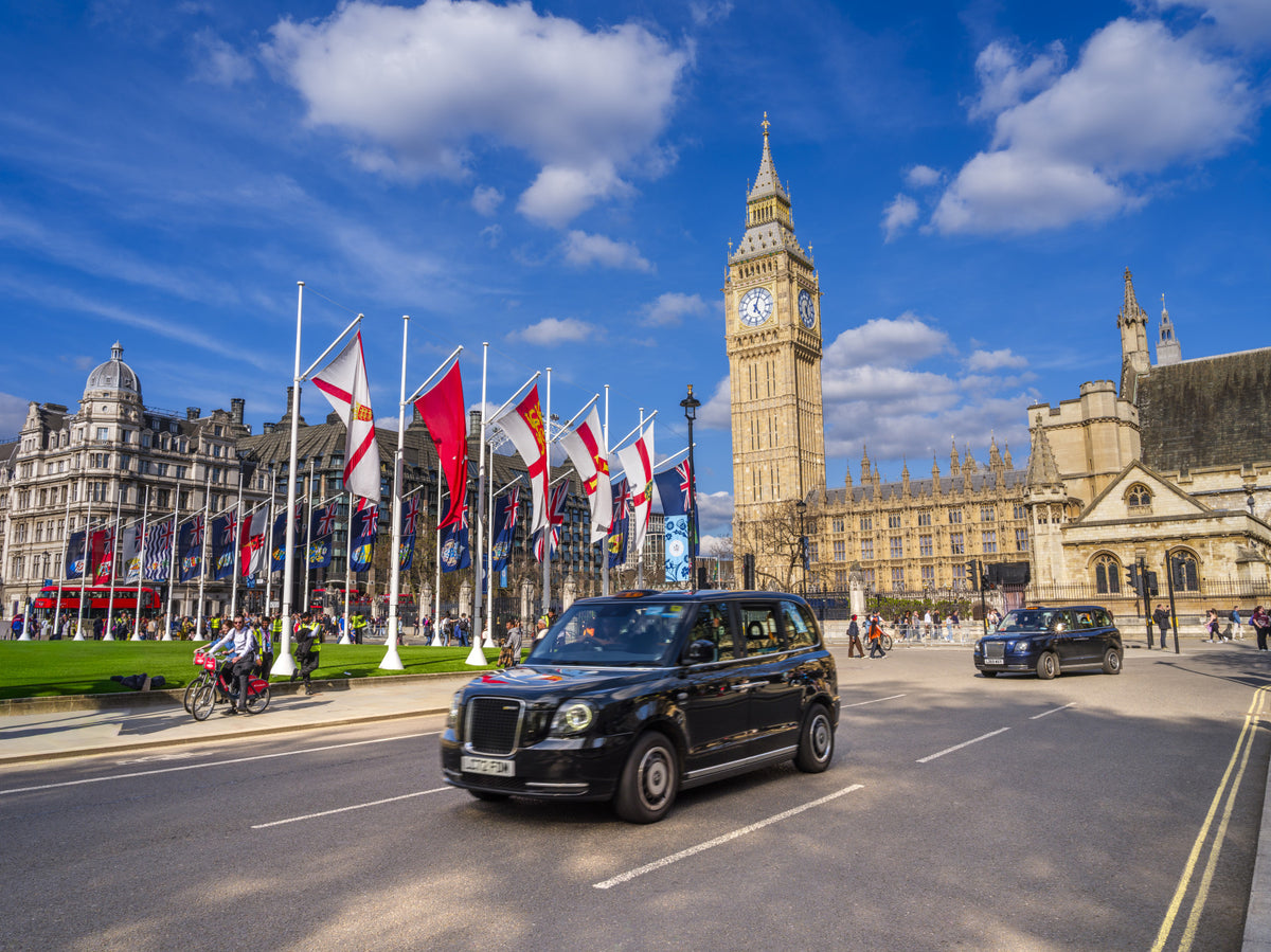 Westminster View Wall Mural