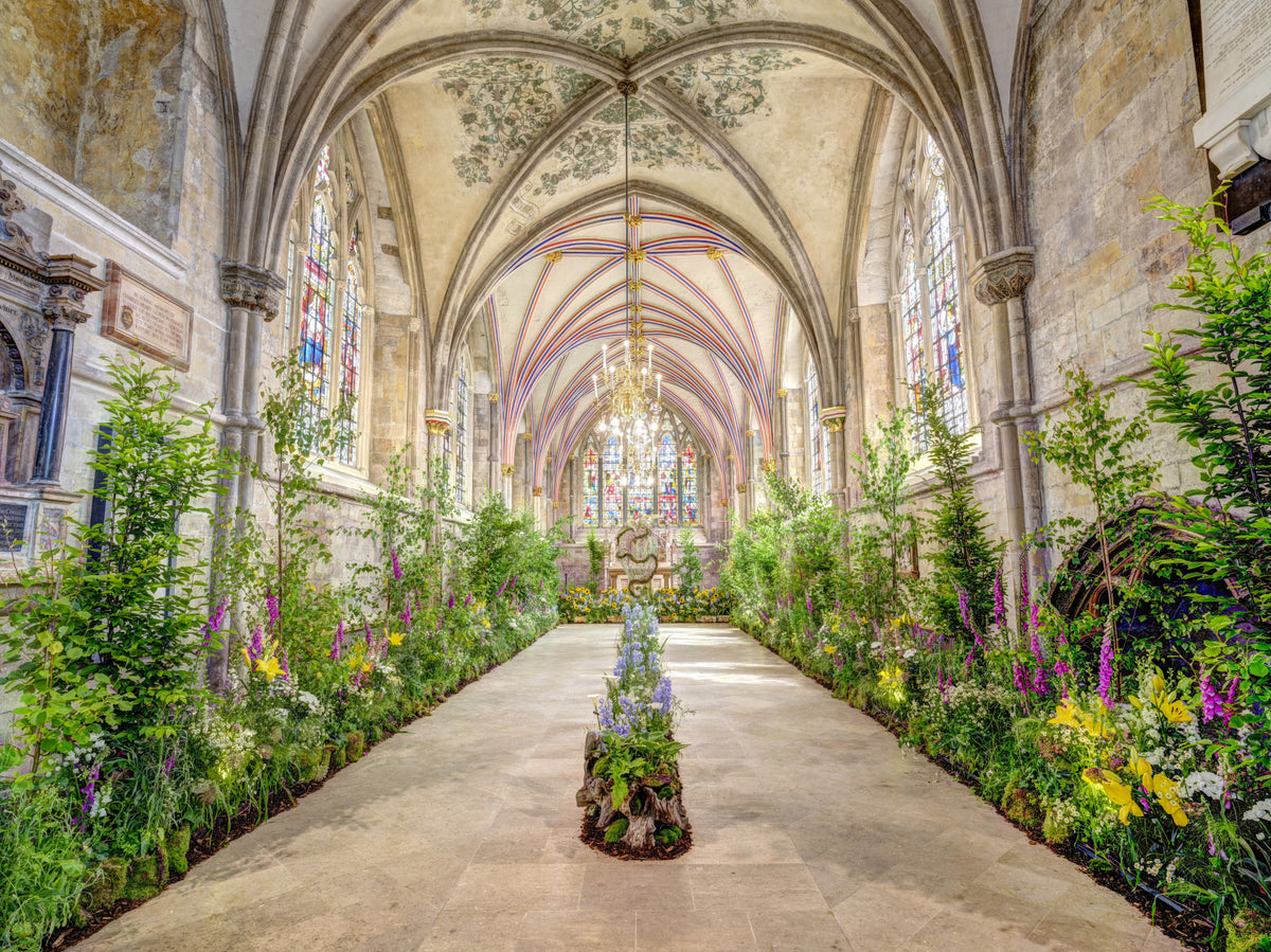 Chichester Cathedral Wall Mural