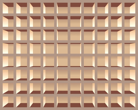 Trompe l'Oeil Neutrals Bookcase  Wall Mural