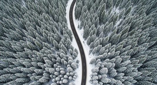 Winter Road Wall Mural