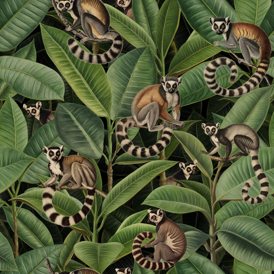Ficus Forest Monkey Paradise Wallpaper⁠