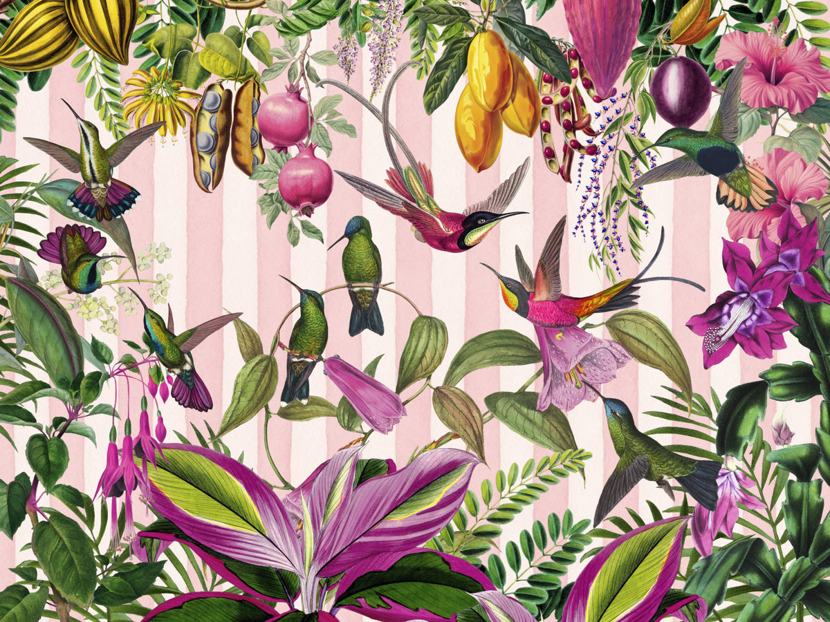 Hidden Exotic Hummingbird Paradise With Stripes Wall Mural