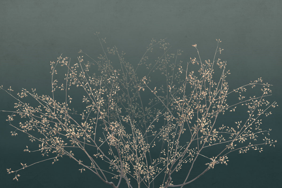 Ethereal Branching Wall Mural