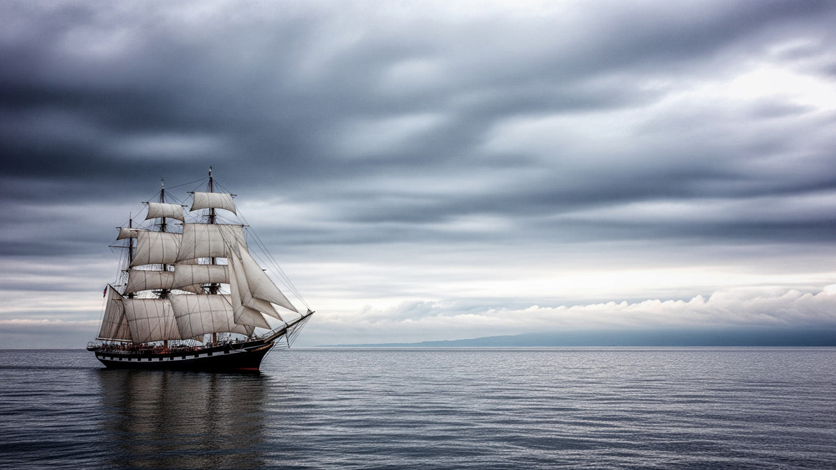 Sailing the High Seas Wall Mural in your room — zoomed
