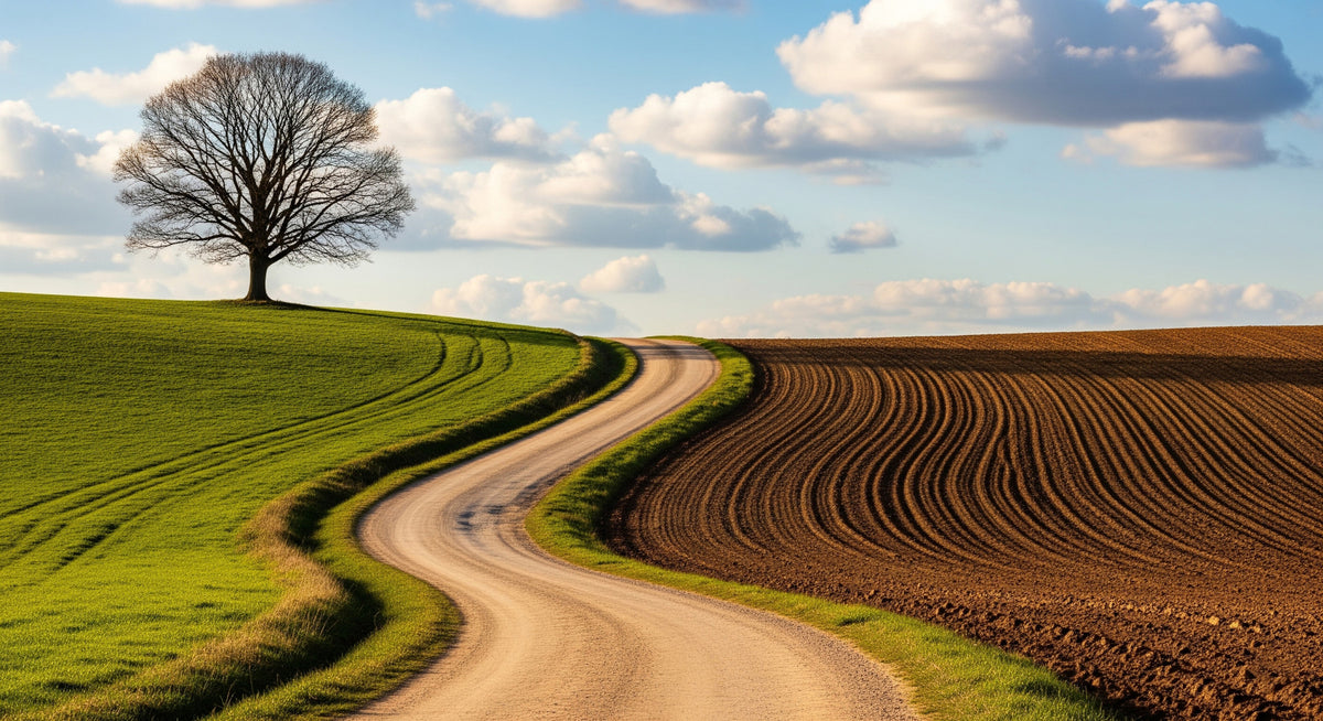 Country Path Wall Mural in your room — zoomed