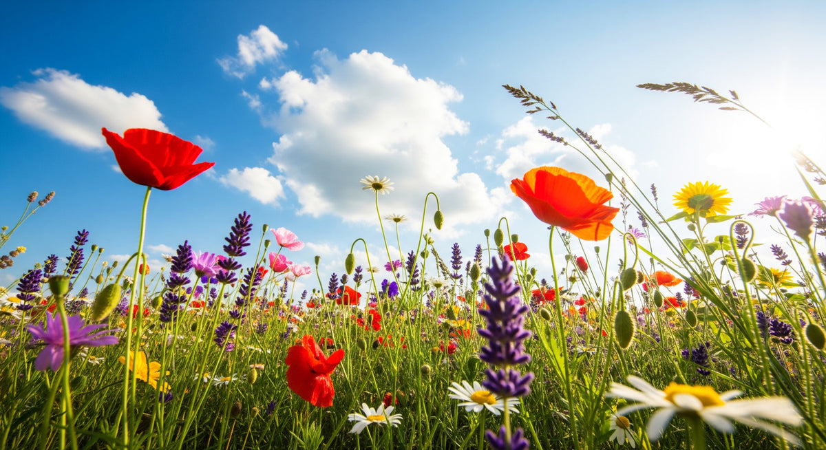 Meadow Dreams Wall Mural in your room — zoomed