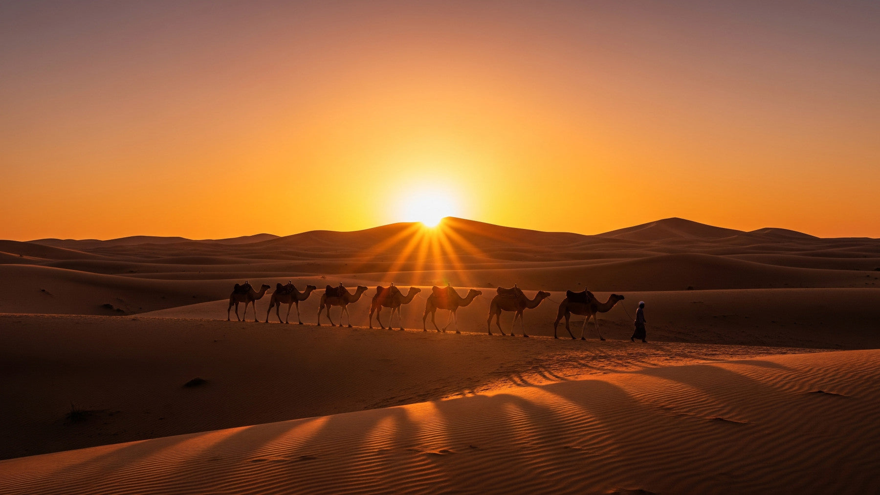 Desert Caravan Dawn Wall Mural