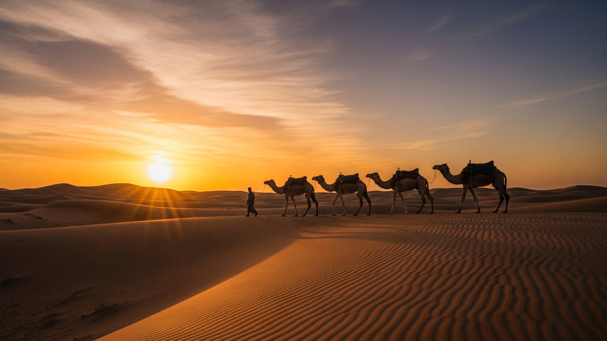 Desert Caravan Sunset Wall Mural