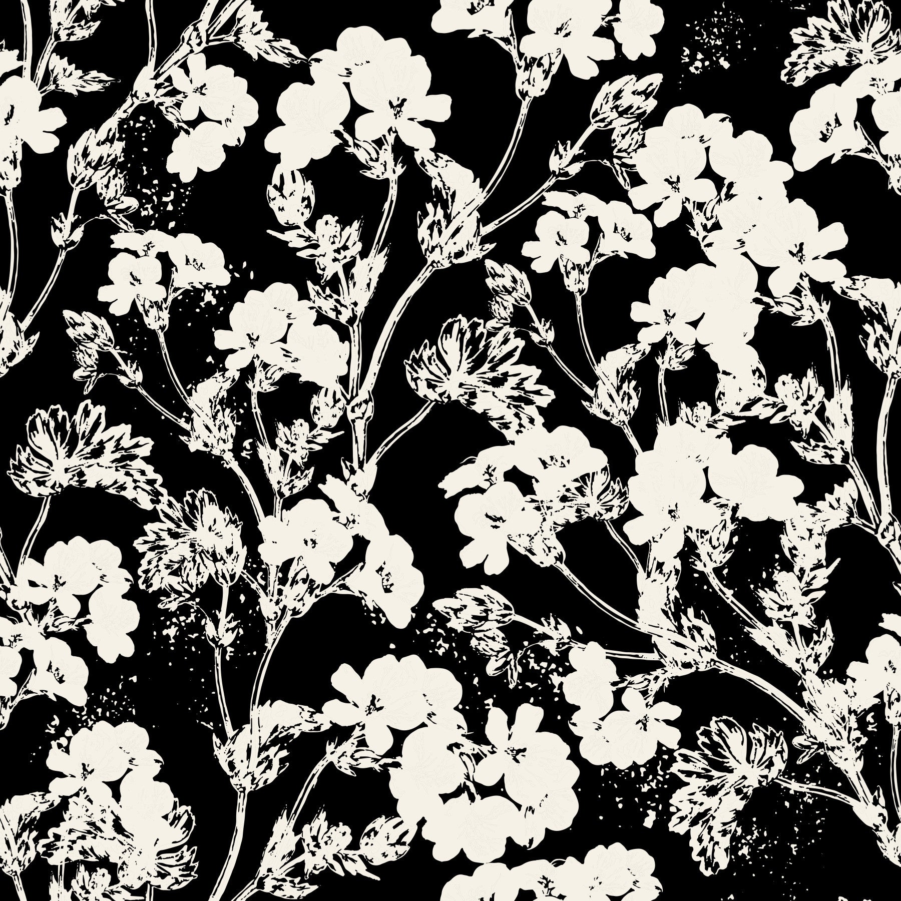 White Plants Wallpaper⁠