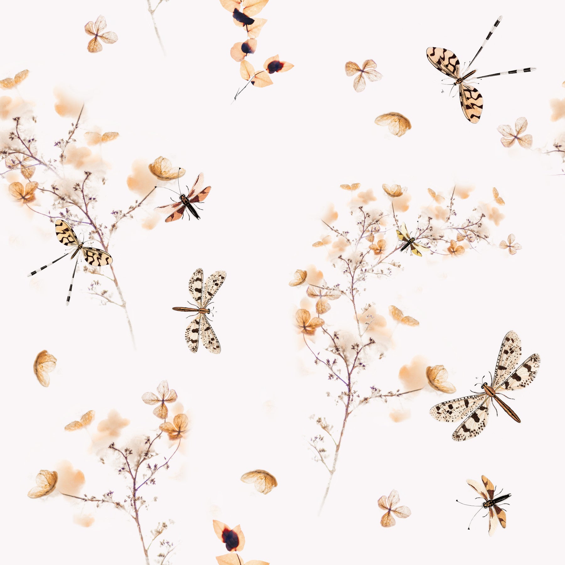 Dragonflies in Flowers Wallpaper⁠