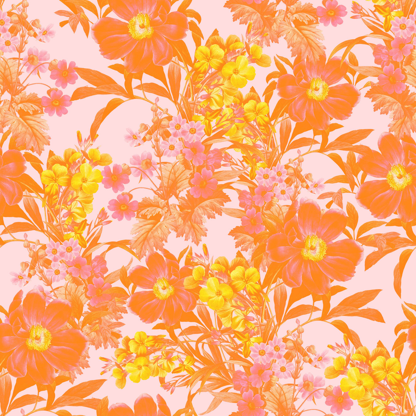 Bloom Mirage Wallpaper⁠