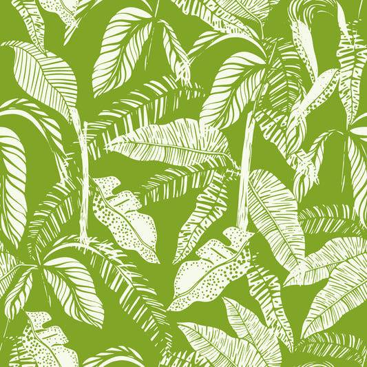 Green Tropics Wallpaper⁠