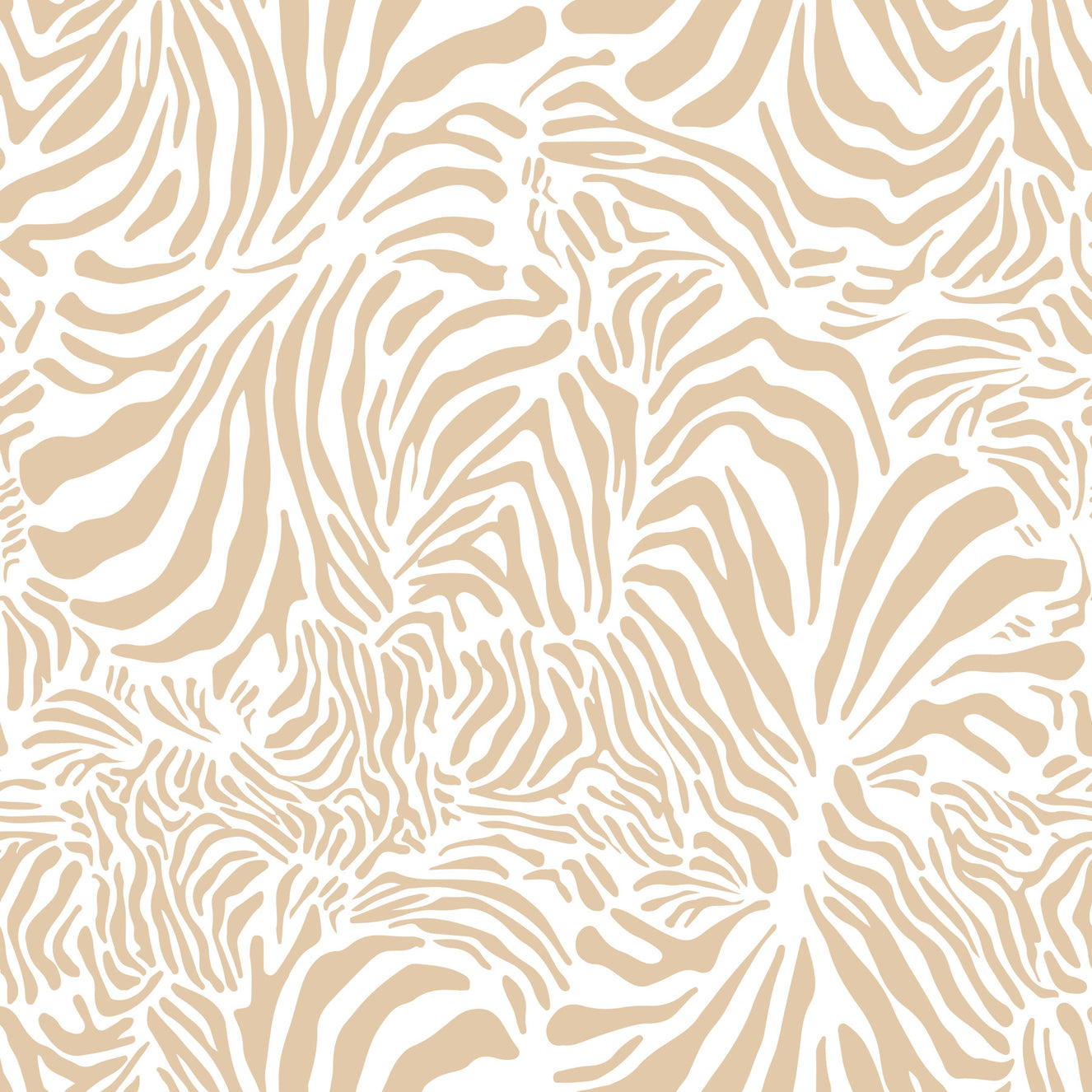 Creamy Zebra Wallpaper⁠