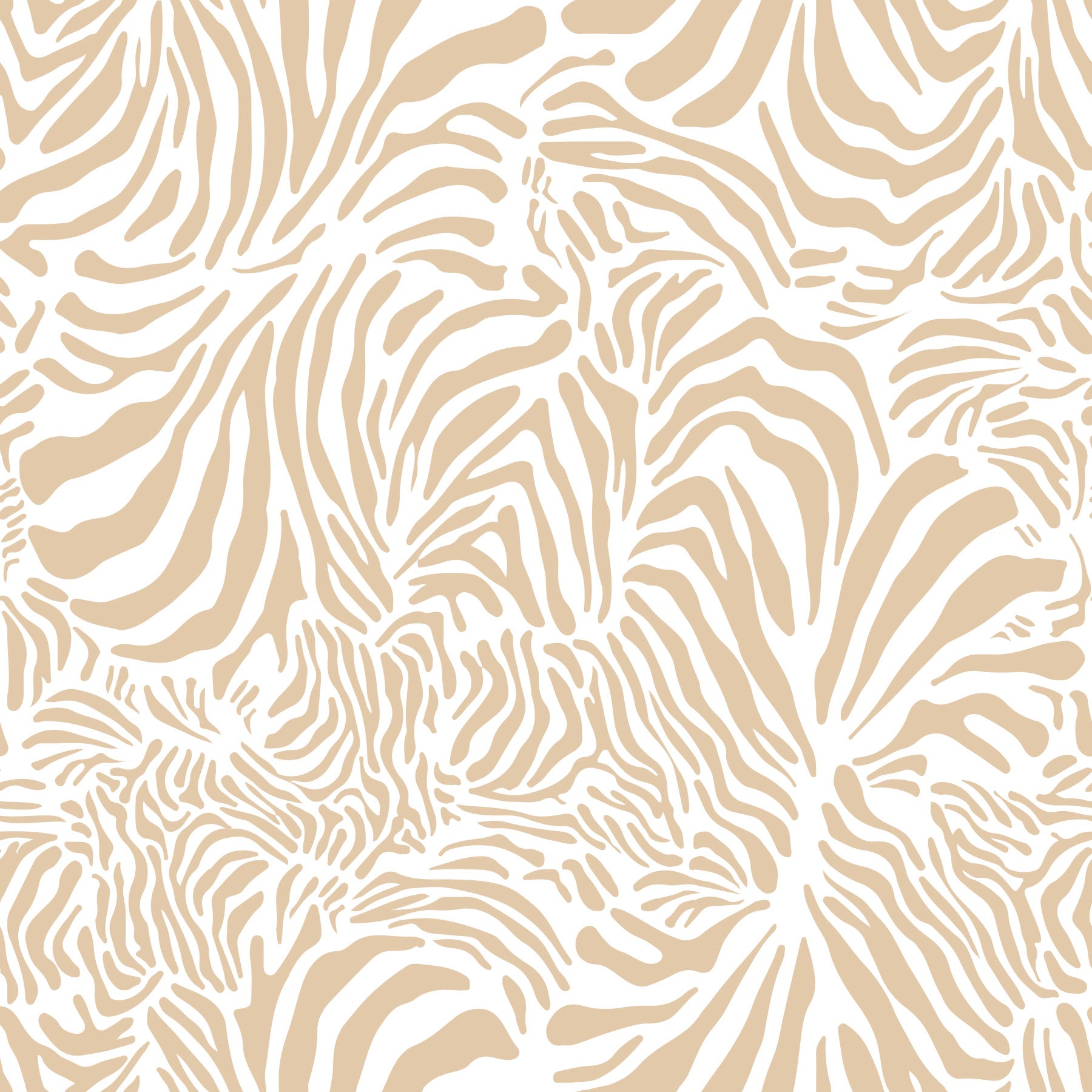 Creamy Zebra Wallpaper⁠