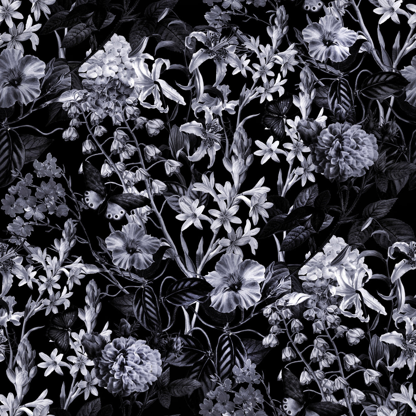Dark Blossom Wallpaper⁠