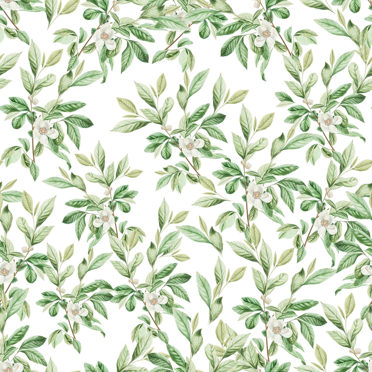 Spring Leaves  Wallpaper⁠