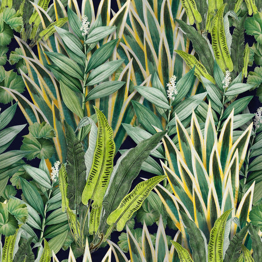 Exotic Foliage  Wallpaper⁠
