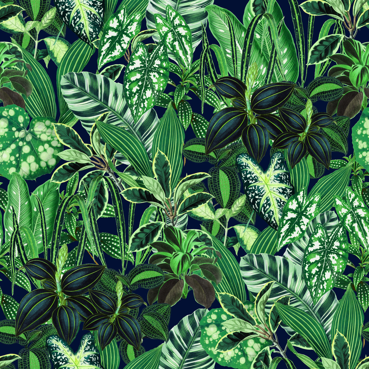 Intensely Green Tropics Wallpaper⁠ in your room — zoomed