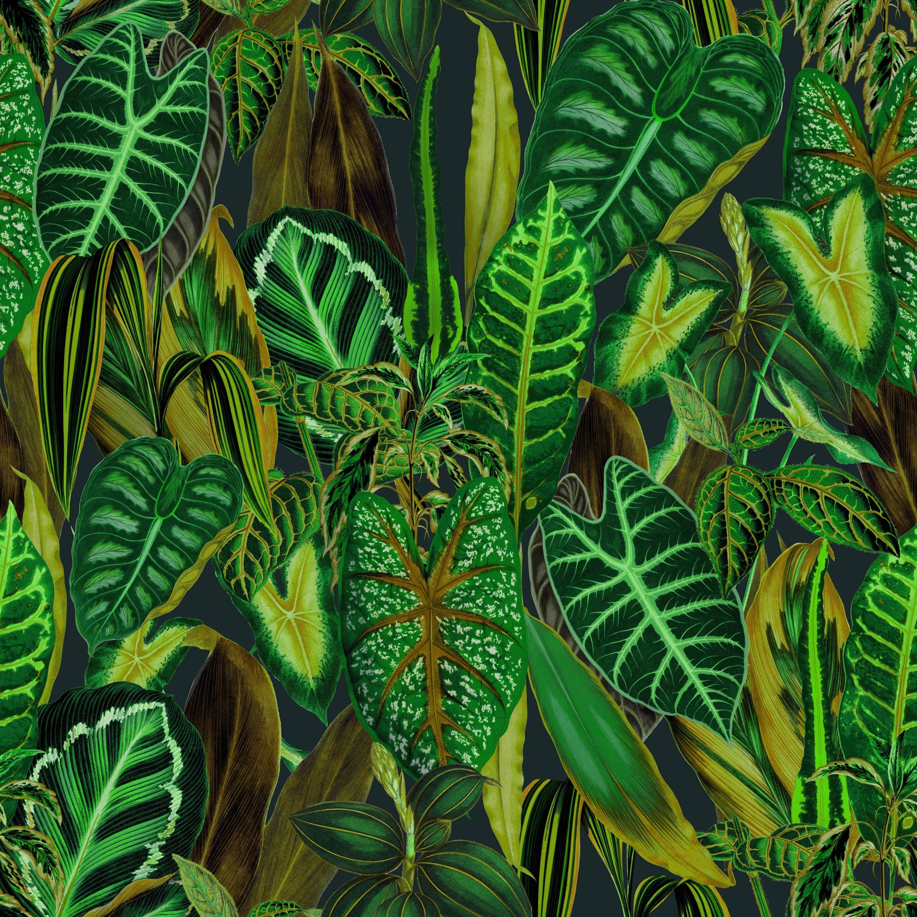 Green Exotic Foliage Wallpaper⁠